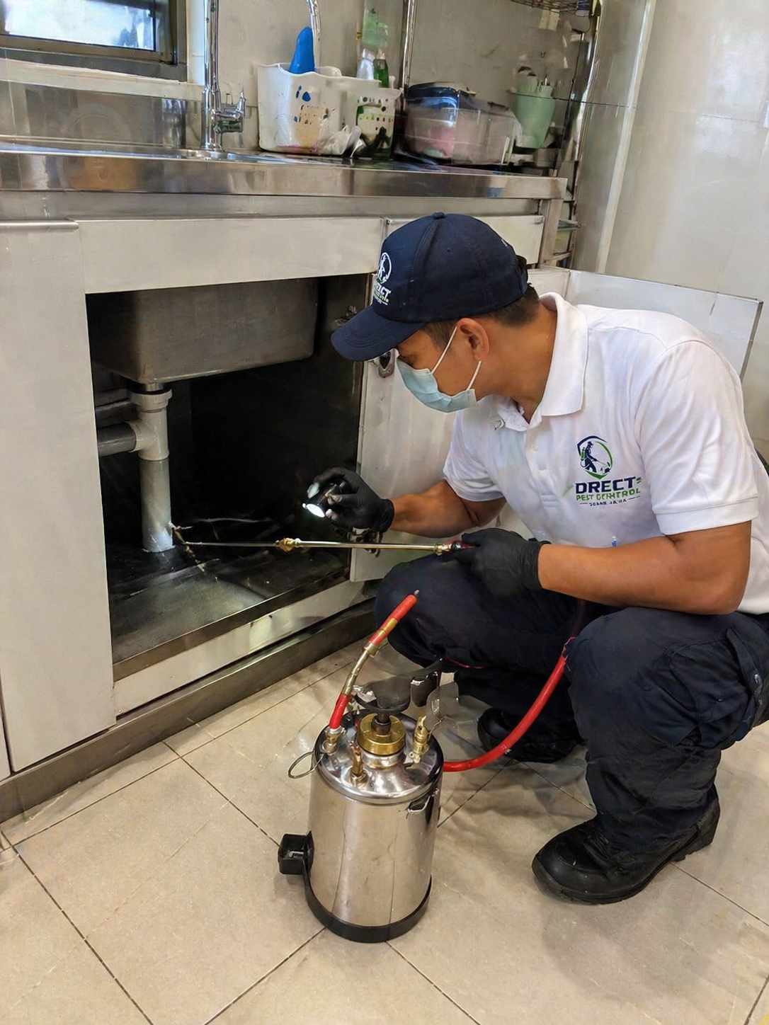 SS15 Café: 30-Day Cockroach Eradication Programme for an F&B Operator — image 2